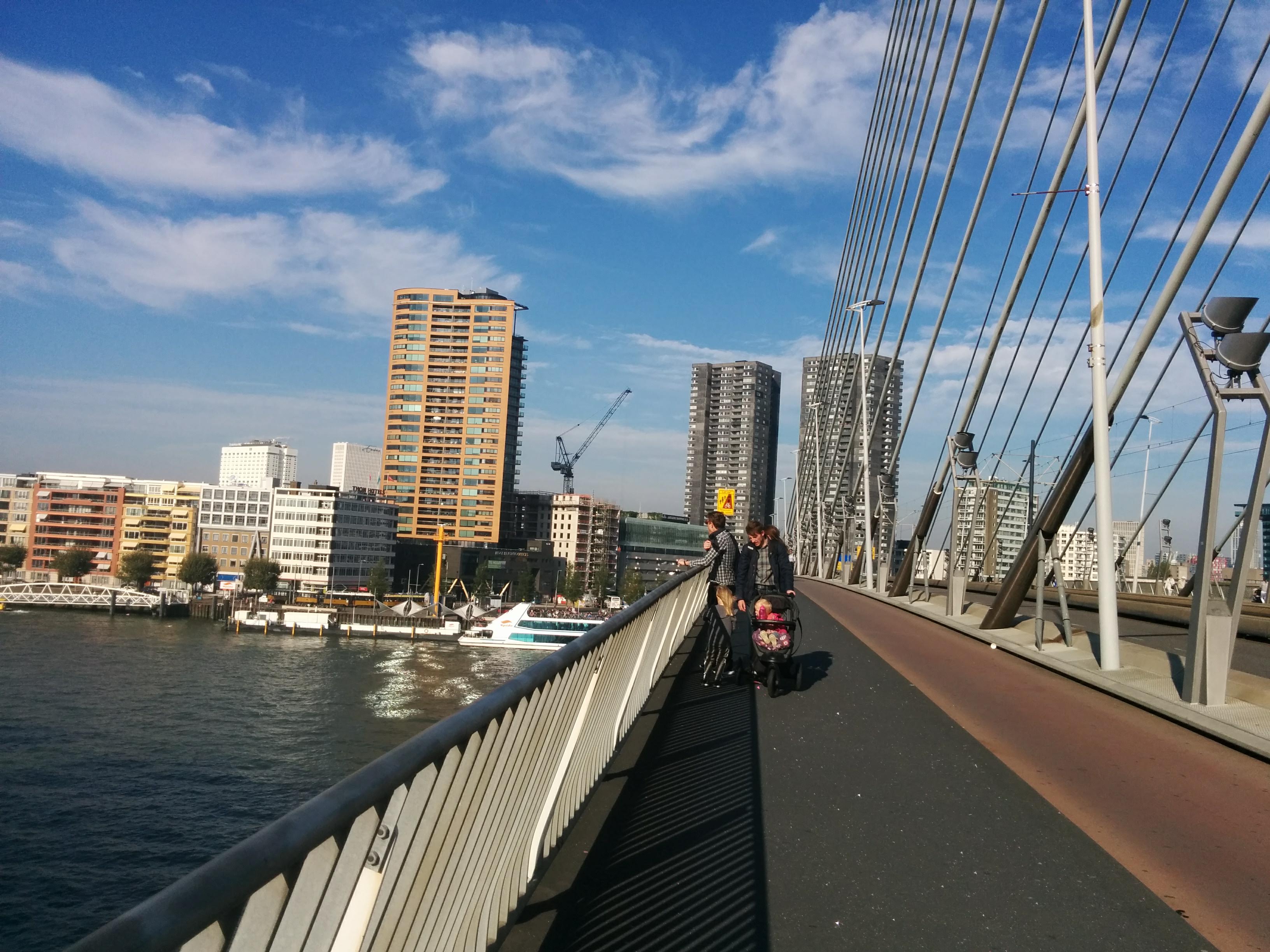Erasmusbroen er en fantastisk konstruktion i Rotterdam